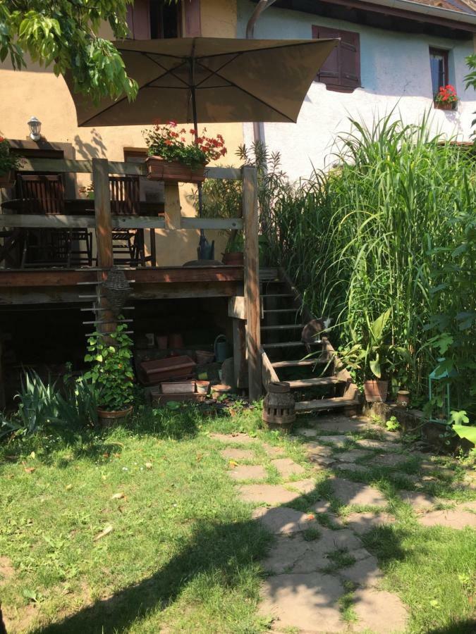 Notre Maison A Eguisheim Exteriör bild